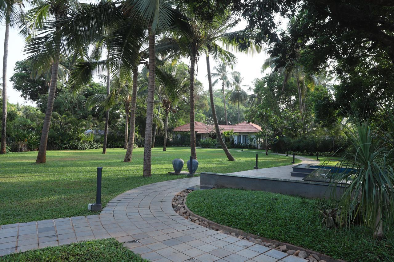 Andores Resort And Spa - Calangute Dış mekan fotoğraf