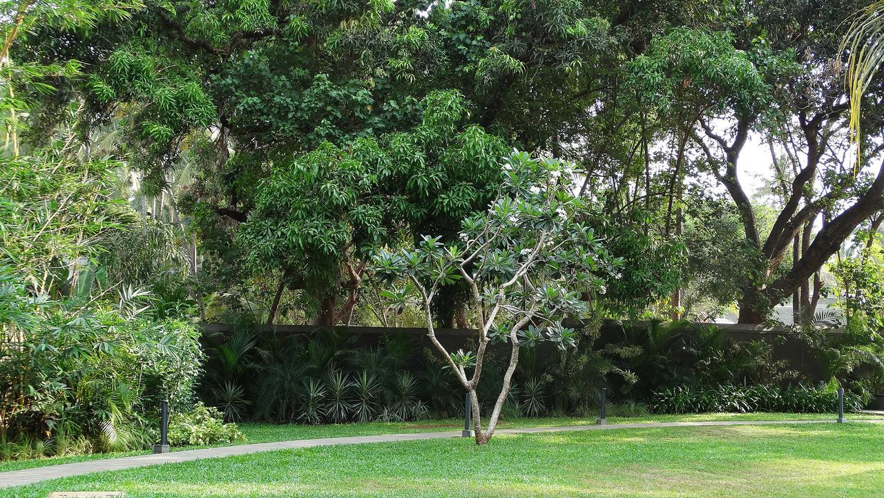 Andores Resort And Spa - Calangute Dış mekan fotoğraf